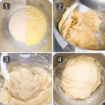 Homemade Brioche Recipe – Mess in the Kitchen