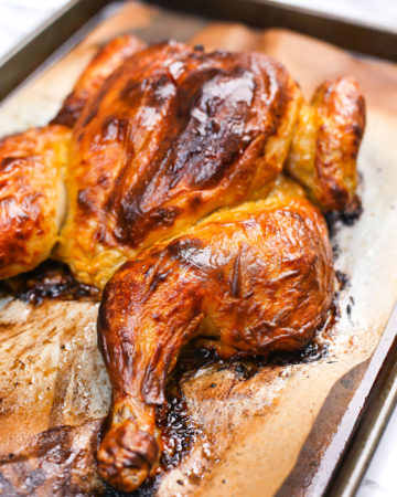 2-Ingredient Spatchcock Chicken – Mess in the Kitchen